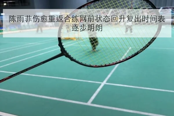 陈雨菲伤愈重返合练网前状态回升复出时间表逐步明朗